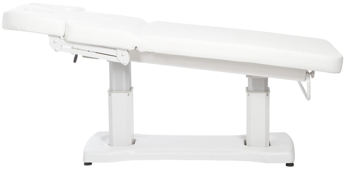 Camilla eléctrica Murz 2 motores